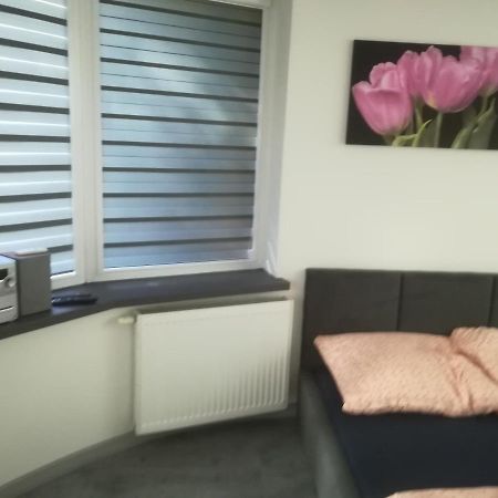 Viktoria Apartamento Ełk Exterior foto